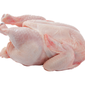 Chicken Meat