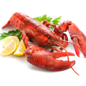 Lobster